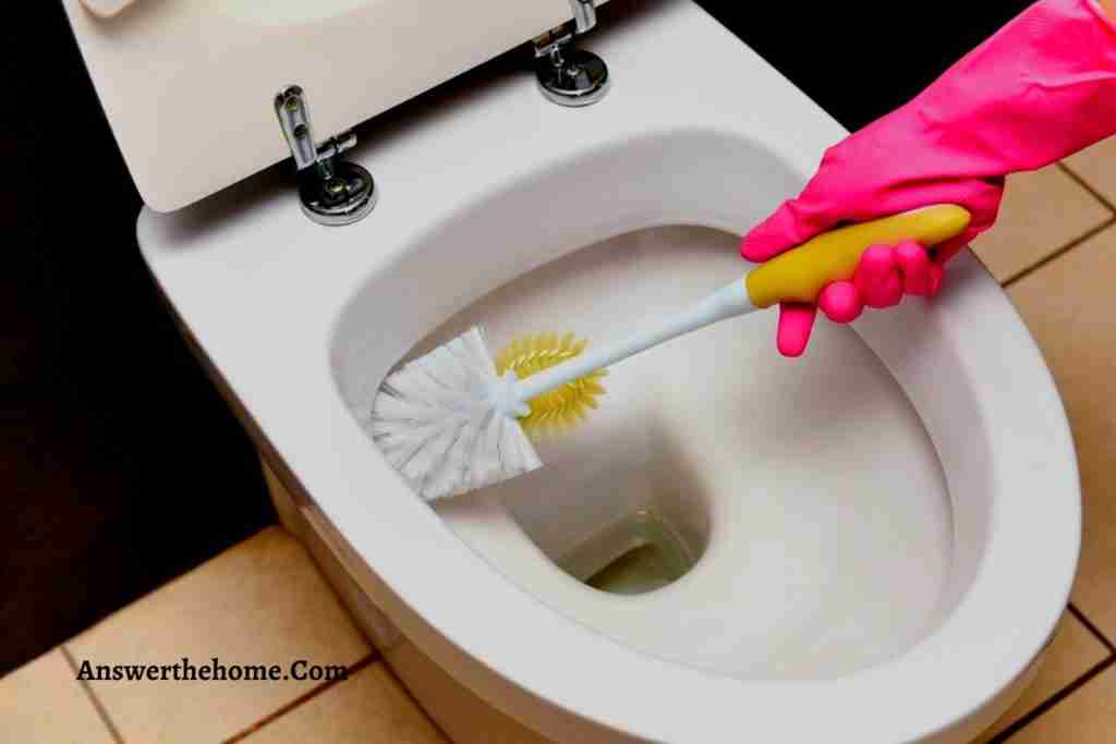 How to Replace Toilet Bolts Without Removing Toilet- The Easy Way