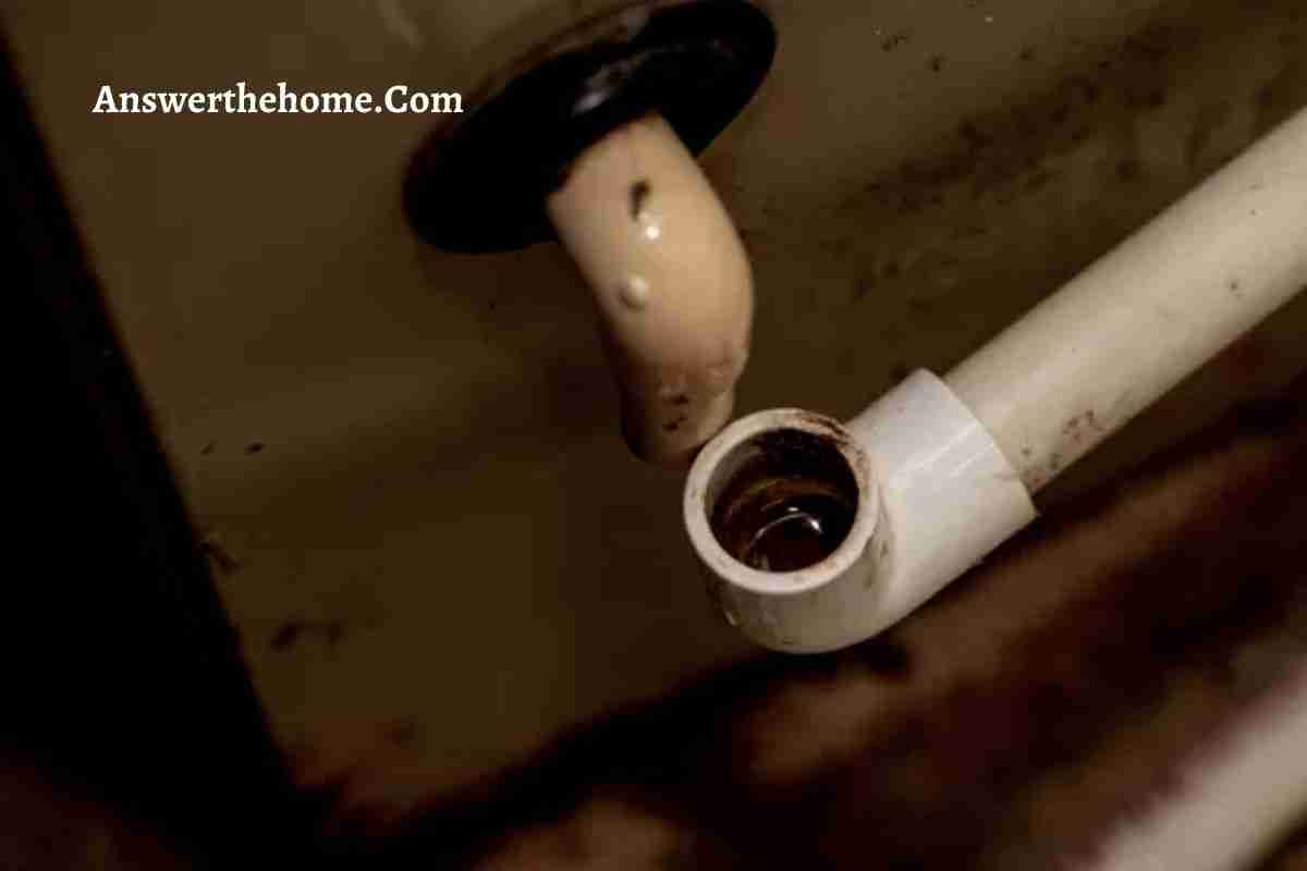 How To Remove Algae From Pipes