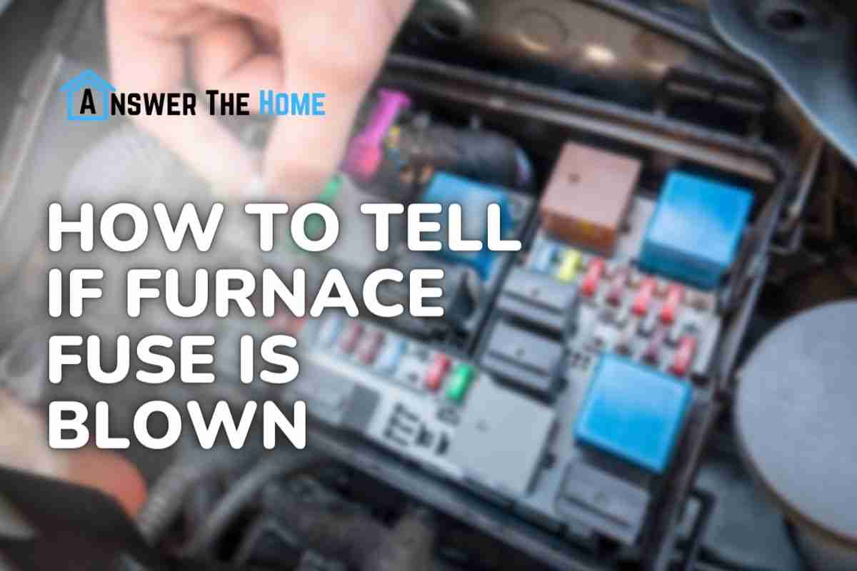 How To Tell If Furnace Fuse Is Blown (Every Possible Ways With DIYs And